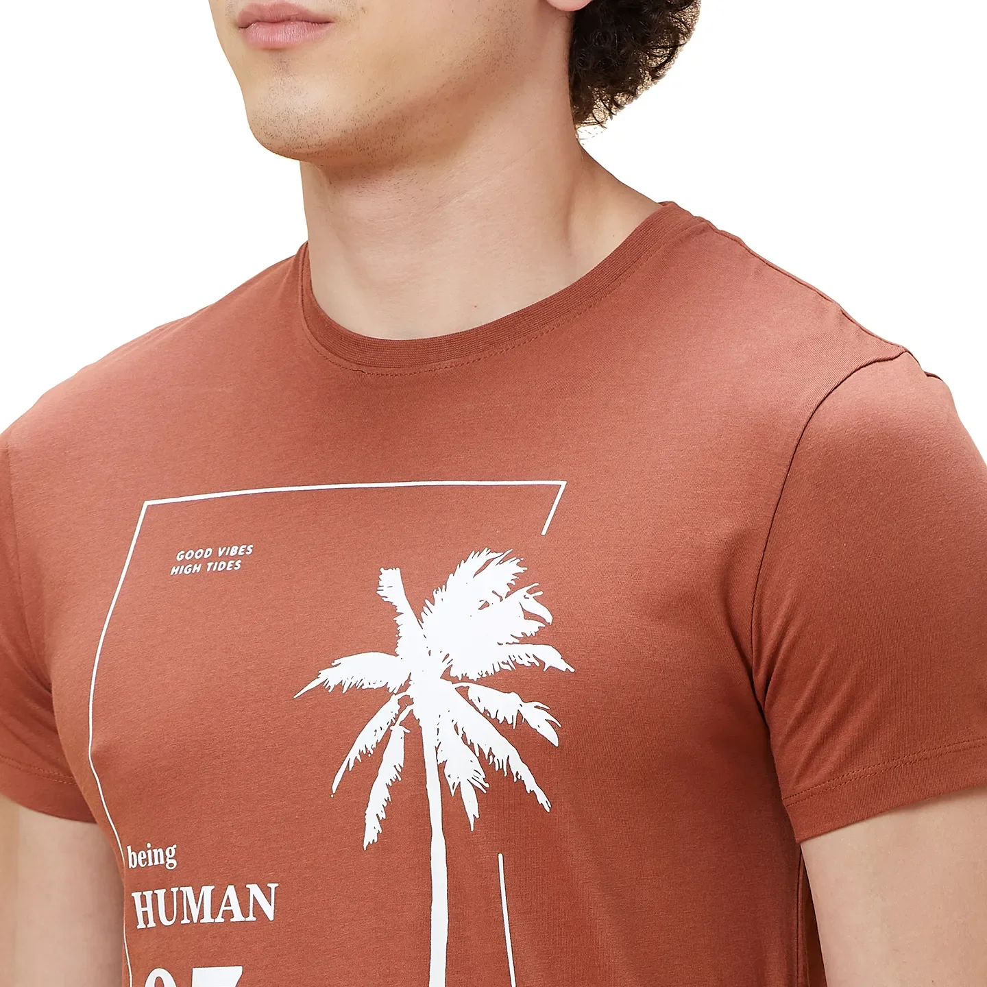 Brown Regular Fit Men's Short Sleeves T-Shirt by Being Human Clothing - Image 5