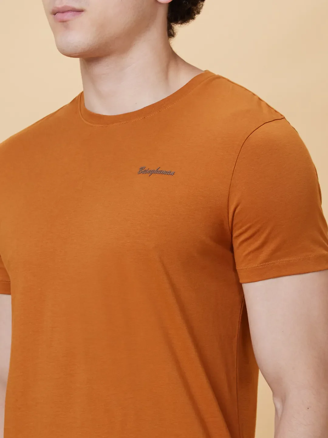 Brown Regular Fit Men's Short Sleeves T-Shirt by Being Human Clothing - Image 4