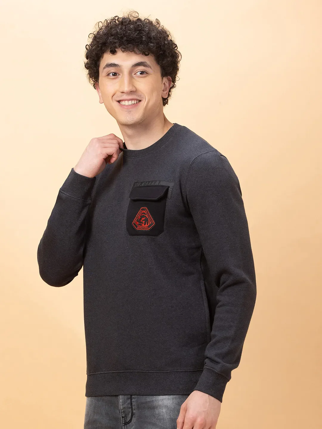 Grey Regular Fit Round Neck Men's Sweatshirt by Being Human Clothing - Image 4