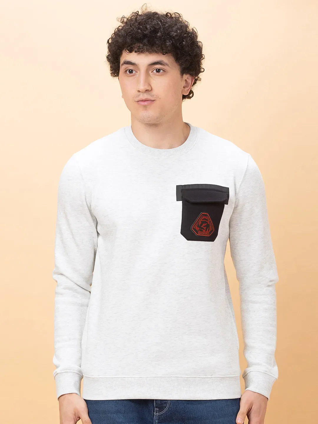 Grey Regular Fit Round Neck Men's Sweatshirt by Being Human Clothing