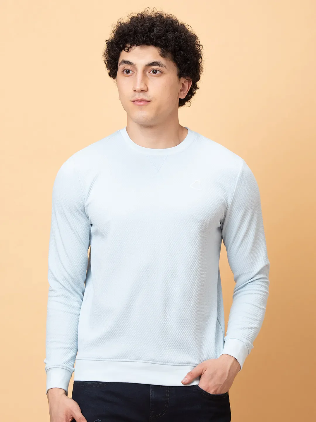 Light Blue Slim Fit Round Neck Men's Sweatshirt by Being Human Clothing