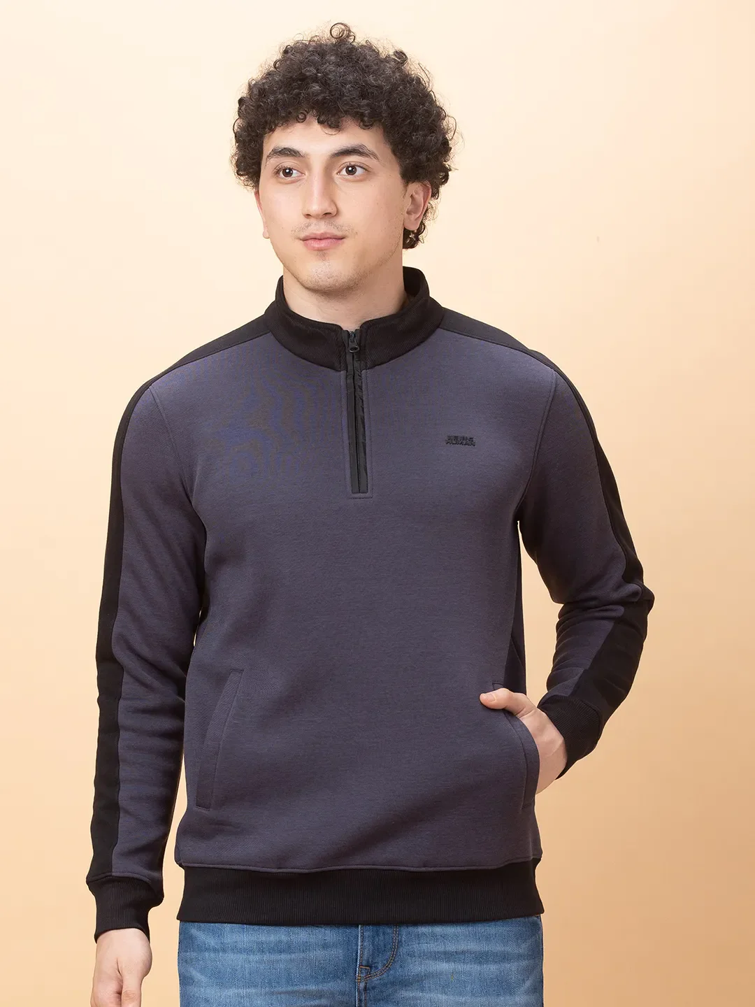 Purple Regular Fit High Neck Long Sleeves Men's Sweatshirt by Being Human Clothing